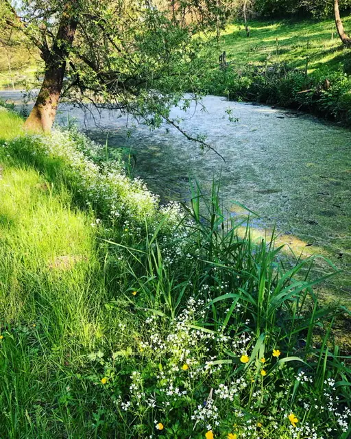 Cottage for 4 people in Walcourt Les Etangs du Francbois : Les Mélèzes